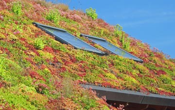 Little Ballinluig living roof systems