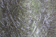 Little Ballinluig fibreglass roof work